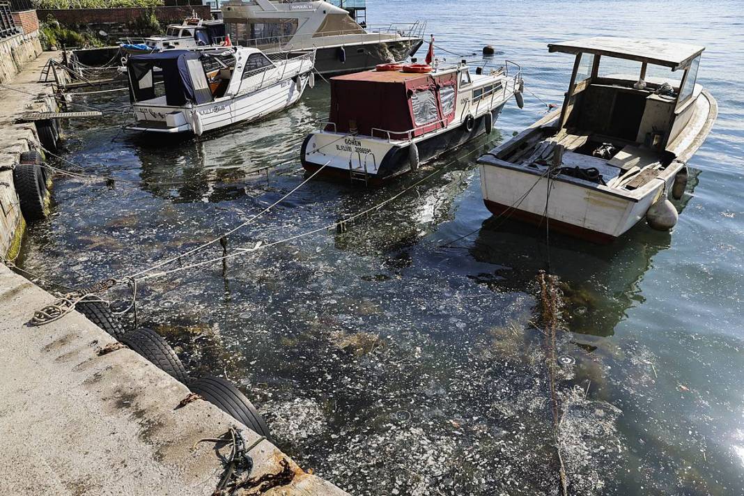 İstanbul'un o sahilinde yürüyüş yapanlar gözlerine inanamadı! Bitti denmişti, meğer yeniden başlıyormuş 11
